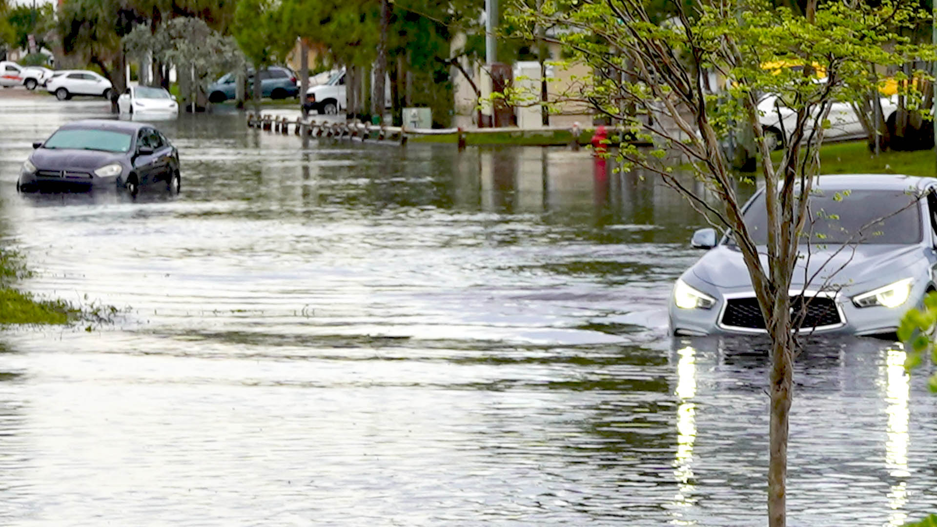 Cars in flood are stranded