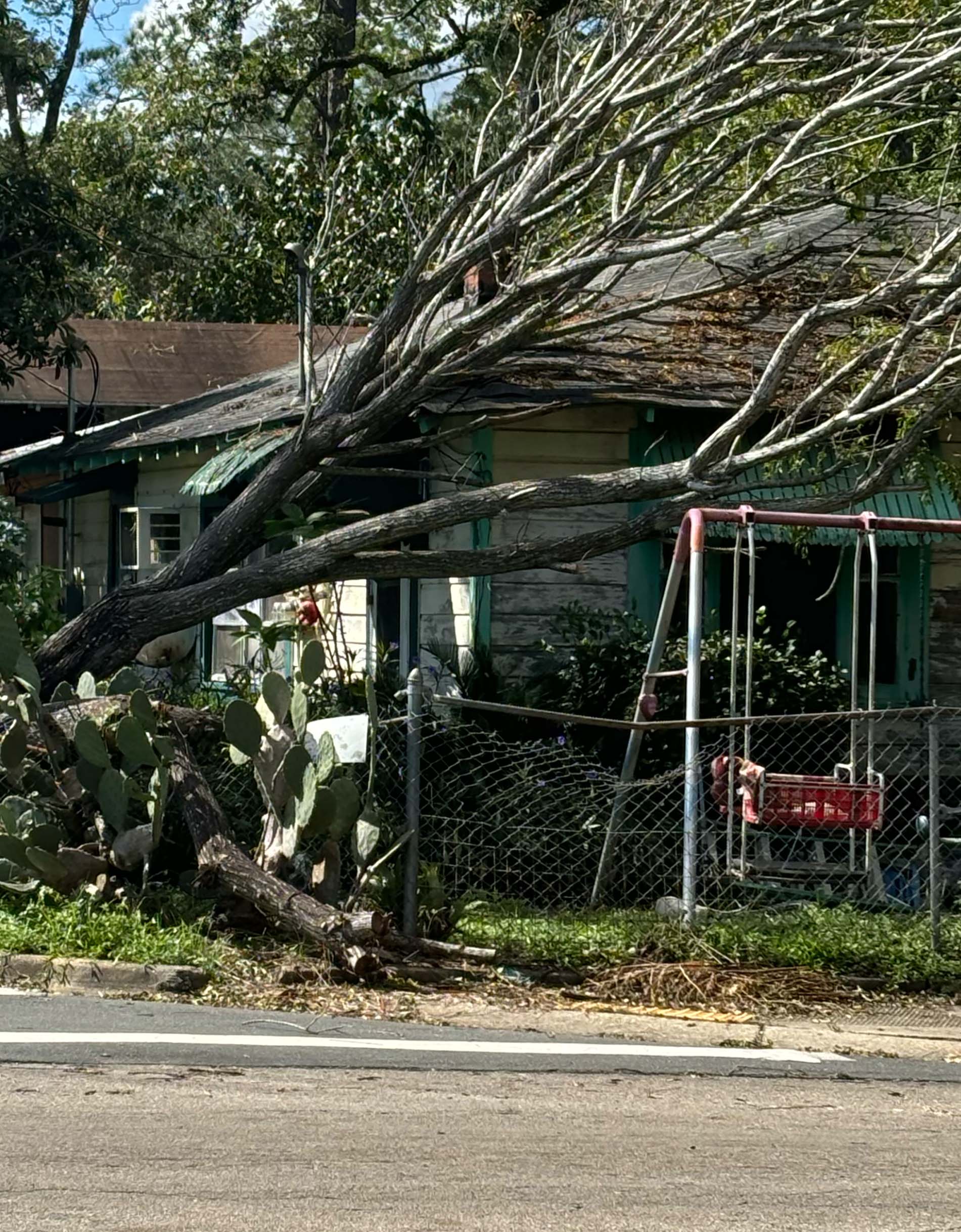 Hurricane Helene Roof Damage from Fallen Tree