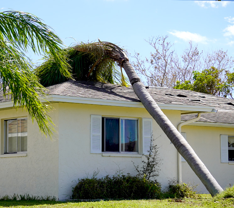 Wind damage claims lawyer in Florida