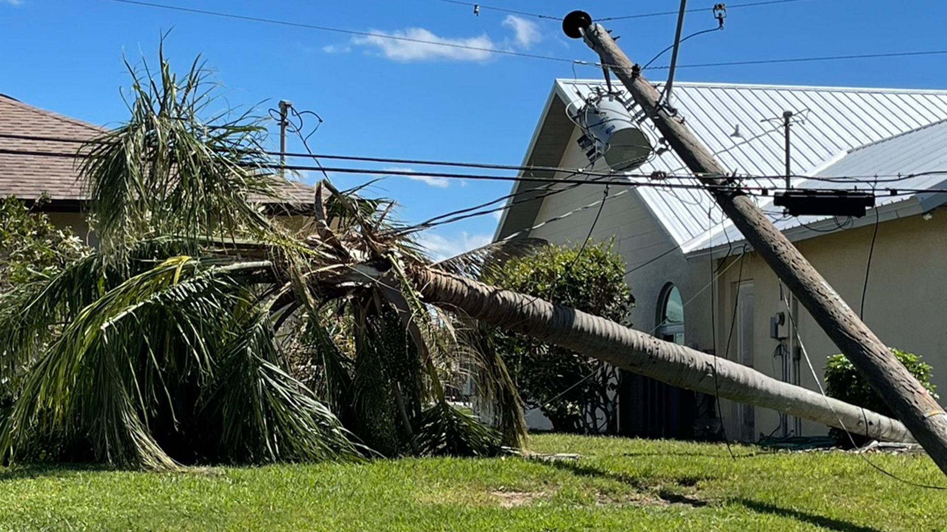 Fallen tree after hurricane in house yard - Gelber Law Group