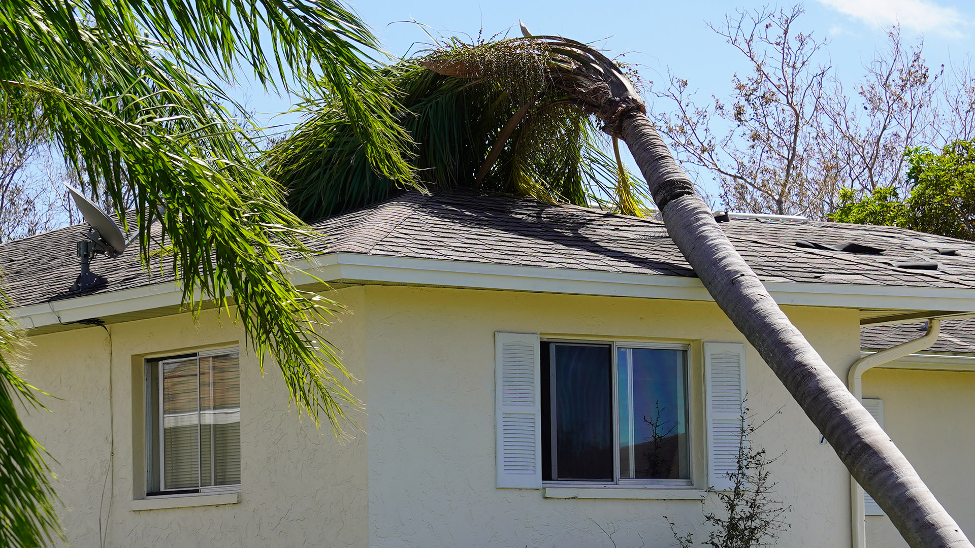 Fallen tree on house after storm